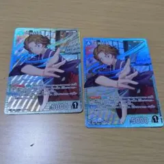 名探偵コナンカード SR 大岡紅葉 2枚セット