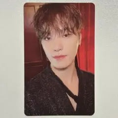 SEVENTEEN シーグリ 2023 ディノ トレカ ③