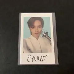 SEVENTEEN FOLLOW AGAIN インスタントフォト チェキ 22枚 SEVENTEEN INSTANT PHOTO STICKER CARD FOLLOW AGAIN TO JAPAN TOUR