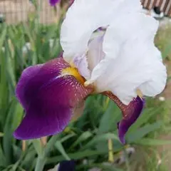 ピンコ様 リクエスト 2点 まとめ商品