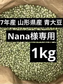Nana様専用