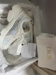 Dior Vibe スニーカー 限定色