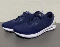 Item thumbnail for item f4948e50-4c03-4004-a72f-33e43c3307bb