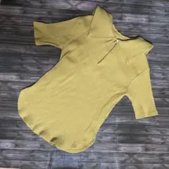 RADIATE カラシ色　 半袖Tシャツ