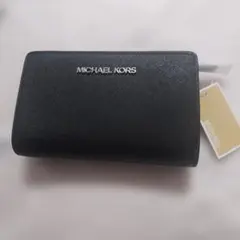 Item thumbnail for item d8b81f40-a33e-4ea1-844d-b8493673f2ca