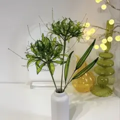 アメリカンフラワー　♢彼岸花（green）