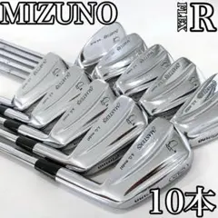 MIZUNO MASTERS AG ミズノ アイアンセット オーガスタ