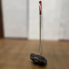 Item thumbnail for item a8b98d55-606f-4f5d-8328-30f0b0a742da