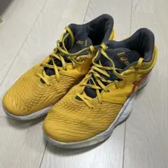 「限定」アンプレアルス バスケットボールシューズ