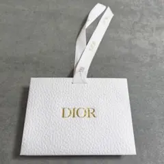 Dior ディオール　ショッパー 紙袋のサムネイル