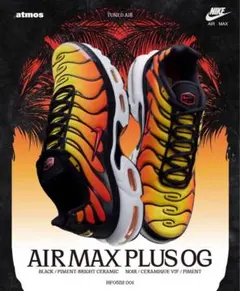 Nike Air Max Plus オレンジ/イエロー