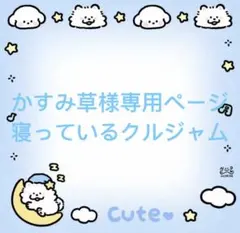 かすみ草 （プロフィール必読)様専用ページ寝っているクルジャム未開封