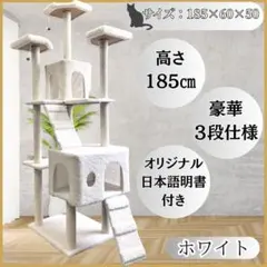 Item thumbnail for item 7152df9e-2441-4669-8862-00335856b5cd