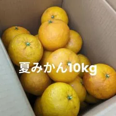 有田みかん 純宝丸 訳あり柑橘4種詰め合わせ10㎏入り - メルカリ