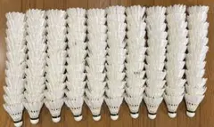 Item thumbnail for item b4eb4c5a-6430-4886-b225-a33505091da8