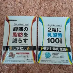 Item thumbnail for item 7b93ebf6-fdb8-4bae-ad17-781dfab7c9c8