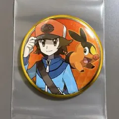 入手困難/箱付✨ ポケモンセンター 限定　 ゲームドット BW 男主人公 トウヤ 入手困難/箱付✨ ポケモンセンター 限定 ゲームドット BW 男主人公
