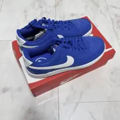 Nike 青 スニーカー　COURT VISION LO 27.5cm