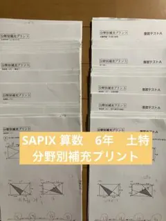 sapix 6年 算数 分野別補充プリント サピックス SAPIX - メルカリ