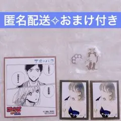 アニメイト ジャンプフェア 2025 特典 ミニ色紙 ミニアクスタ