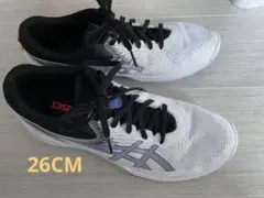 Item thumbnail for item 89157166-c26b-4849-953f-5d58e0113882