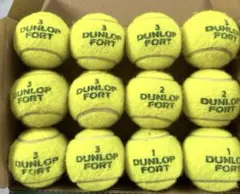 DUNLOP FORT 硬式テニスボール 12球セット ダンロップ フォート