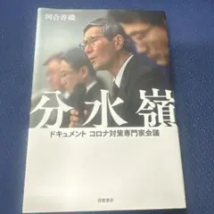 分水嶺 河合香織 岩波書店