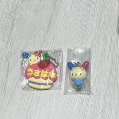 ウサハナ2点セット