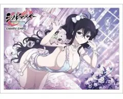 2026年最新】スリーブ 閃乱カグラの人気アイテム - メルカリ