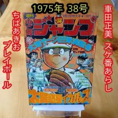 週刊少年ジャンプ 1975年22号 　スケ番あらし　新連載　車田正美 2026年最新】すけ番あらしの人気アイテム - メルカリ