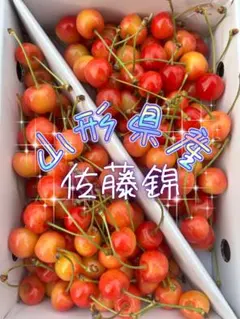 a119山梨県産 佐藤錦 さくらんぼ 双子など S〜Lサイズ 箱込み400g