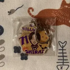 Kappa コンサドーレ札幌 砂川誠 ウェア ユニフォーム コンサ 黒赤 Kappa コンサドーレ札幌 砂川誠 ウェア ユニフォーム コンサ 黒