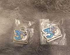 ポケモン 30周年メタルチャームマスコット2個セット(カメックス、ゼニガメ)