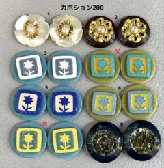 ボタンカボション200① 11/6