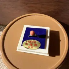 沖縄特産品 本珊瑚リング シルバー指輪