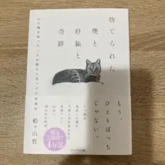 捨てられた僕と母猫と奇跡 : 心に傷を負った二人が新たに見つけた居場所