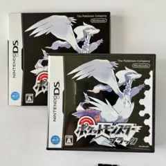 NINTENDO DS ポケットモンスターブラック(外箱付き)
