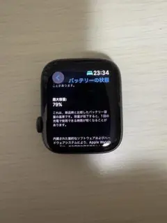 Apple WatchSE 第1世代　42mm スペースグレー 動作確認済み