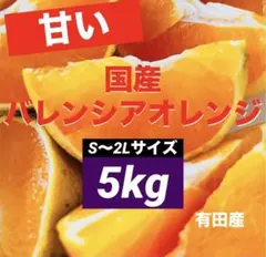 158)数量限定　甘い　国産　バレンシアオレンジ　みかん　果物 旬のサムネイル