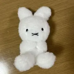 新品未使用！ナインチェ　ファーストミッフィー♥︎