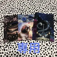 68MAY様両面巾着3点