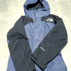 ゴアテックス　プロ　the north face