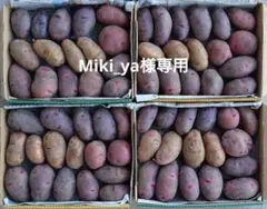 Miki_ya様専用　カラフルポテト　5種類セット　新じゃがいも