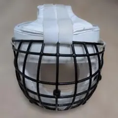 Item thumbnail for item 2cad7657-c33d-4a4b-a376-88f477482a51