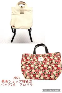 おまとめ売り　バッグ2点セット　多機能リュック&薔薇柄トートバッグ　クロリサ