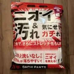 Item thumbnail for item 2c661518-4a90-4b1c-ac03-e64cf0038088