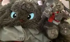 ディズニー ベルリオーズ ファンキャップ ショルダーバッグ ぬいぐるみ