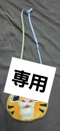 専用■東京ディズニーランドチャンドゥパスケース