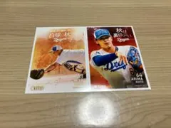 Item thumbnail for item 57c3dab8-720d-4c72-820b-c07bcd4f29b0