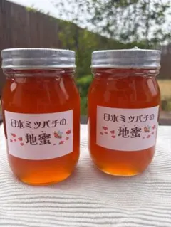 天然熟成1年 希少 日本ミツバチ 国産天然はちみつ100%600g(K1Y1箱 